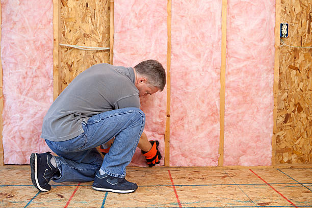 Best Insulation Installation Services in Burns Harbor, IN